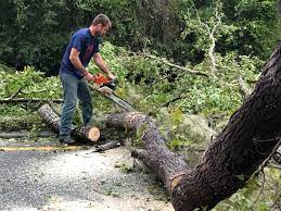 Best Storm Damage Tree Cleanup  in West Leechburg, PA